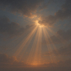 sunbeams