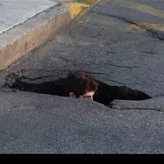 Killingme adv. • Camino