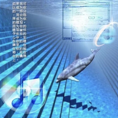 纽波特夜晚看起来很美丽