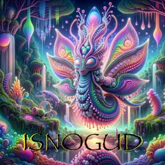 Live @ CoralDance  (22.06.2024)