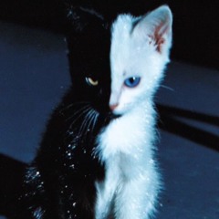 upset w/ christianOD.