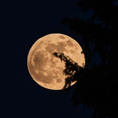 Mond ft. Clank  -UNOFFICIAL- VERSION-