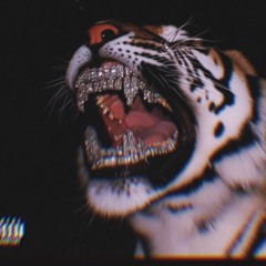 Never spoke(Bonus Track)