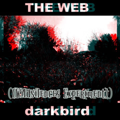 THE WEB - darkbird (Wildsilences Experiment)