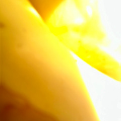 2025:6:12:push