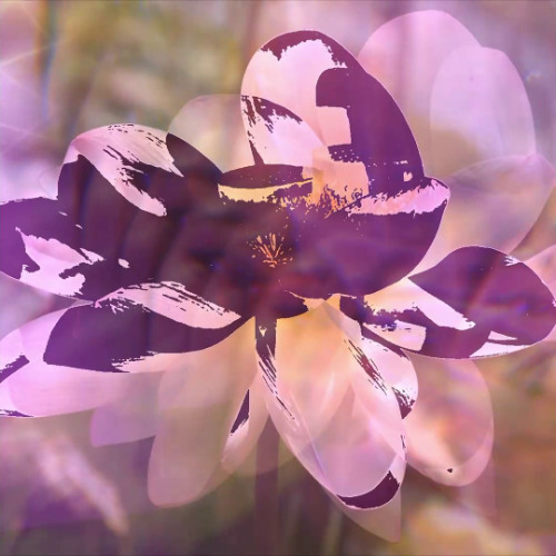 Cristobal Tapia De Veer - Sea Turtle Song (KRPK Remix) [White Lotus Soundtrack]