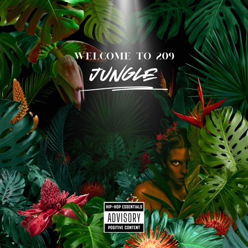 Welcome To 209 Jungle..! album cover