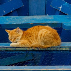 Give Me A Voice to see