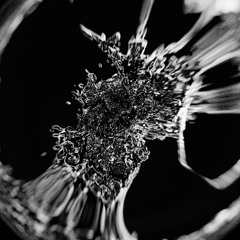 Fragments