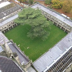 quadrangle