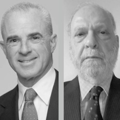 Energy Risk Podcast Episode 5 – Lichtenstein and Friedman