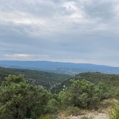Thunder and rain in Provence during summer.