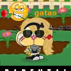Gatas ( MaketA | LAUTA X GOVETON