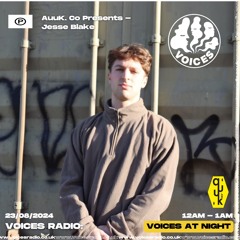 Jesse Blake (Live on Voices Radio London 23/08/24)