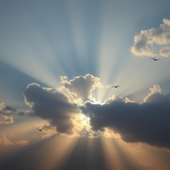 Kaos Mix X - Look At The Trees, Listen To The Birds - 176BPM - Liquid Drum & Bass