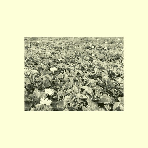 Artsea - The Retreat