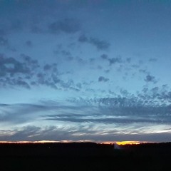 Put the needle on the record : deep house / tech house / lounge moods / etc