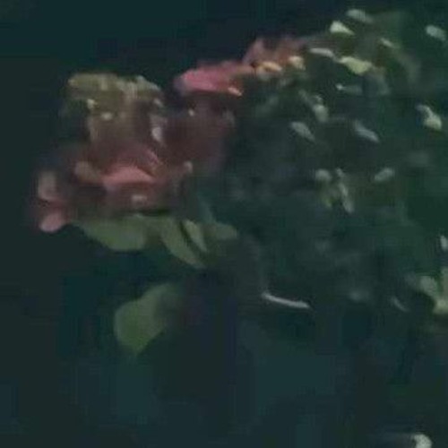 Quên Người Đã Quá Yêu (Qinn Remix) - Hà Duy Thái _ Anh Muốn Xóa Đi Hết Tất Cả Kỉ Niệm Buồn Trong Anh