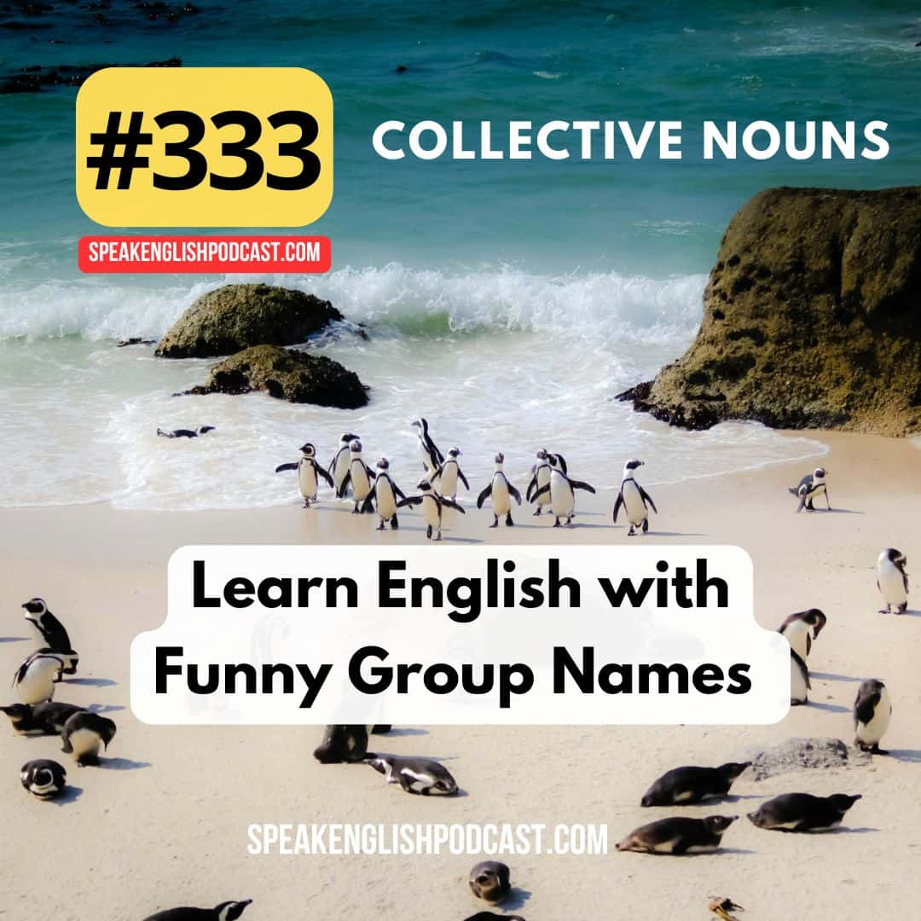 #333 Collective Nouns - Learn English with Funny Group Names episode artwork