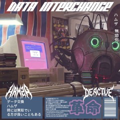 HAMZA X DEACTVE - DATA INTERCHANGE