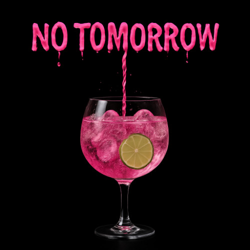 Nolustt Orpride - No tomorrow (Original Mix)