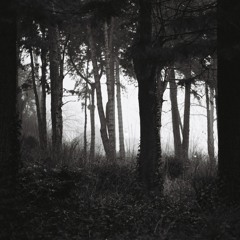 ANTENS [S02] 150-155 bpm hardtrance/techno