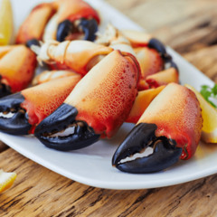 tribe du crabe