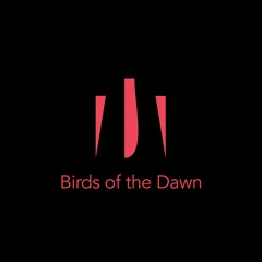 Birds Of The Dawn