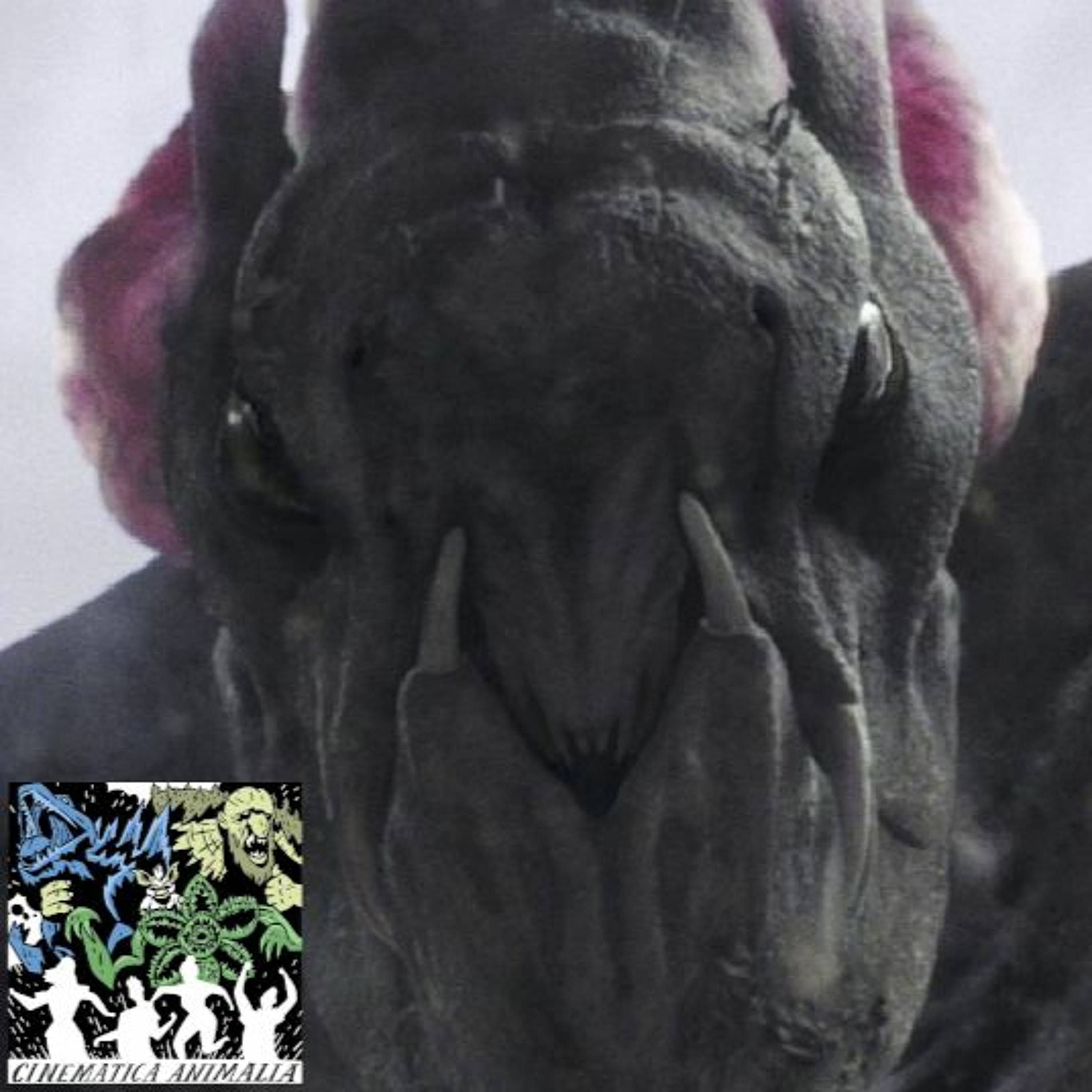 Cinematica Animalia