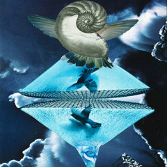 In The Mind of The Hive