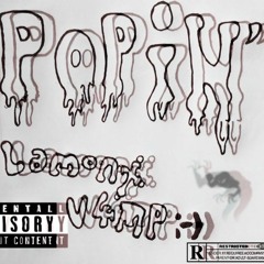 POPIN [prod.Fuzz]