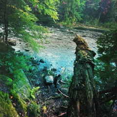 Downstream [Downtempo]