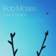 Bob Moses - Like It Or Not (Mass Digital Remix)