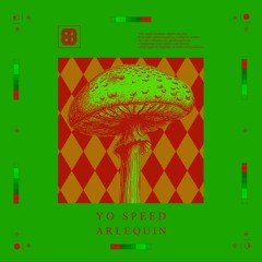 Alerquin (Mushrooms Hit Hard Mix)