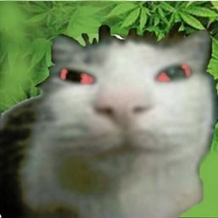 Don't give a fuck, piss in her cup  (PROD. MACMADE)