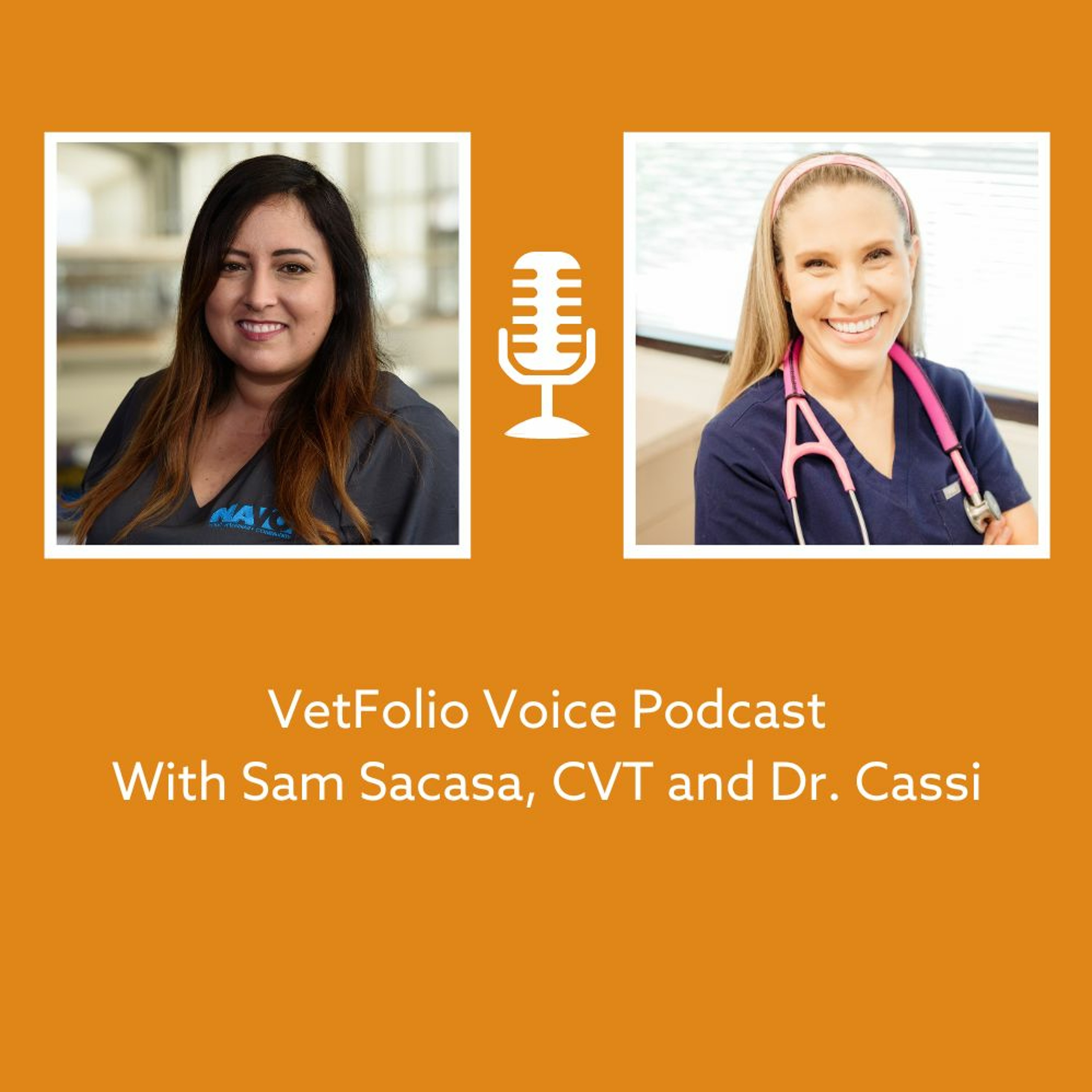 Flipping the Script: A Look Inside Dr. Cassi’s House Call Practice episode artwork