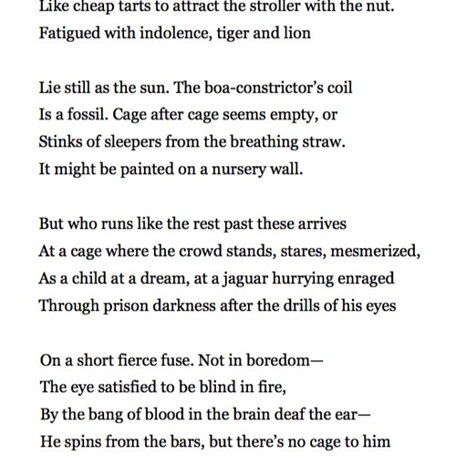 Stream 380 Jaguar by Ted Hughes by Samuel West #PandemicPoems | Listen