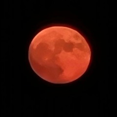 Blood Moon