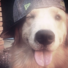 popx (prod. deltovv, vivokiddie, valtoory)