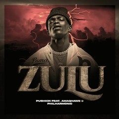 Pushkin RSA - ZULU MarcoV Remix