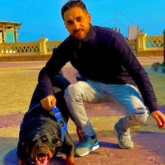 مهرجان اسمي وحده انا دوله (كلاب فلوس🤦🔥) غناء_بويكا اسكندر & النوبي+ توزيع فيجو نمبر وان🎤🎶