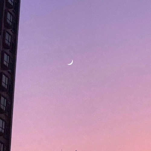 swailll - 想
