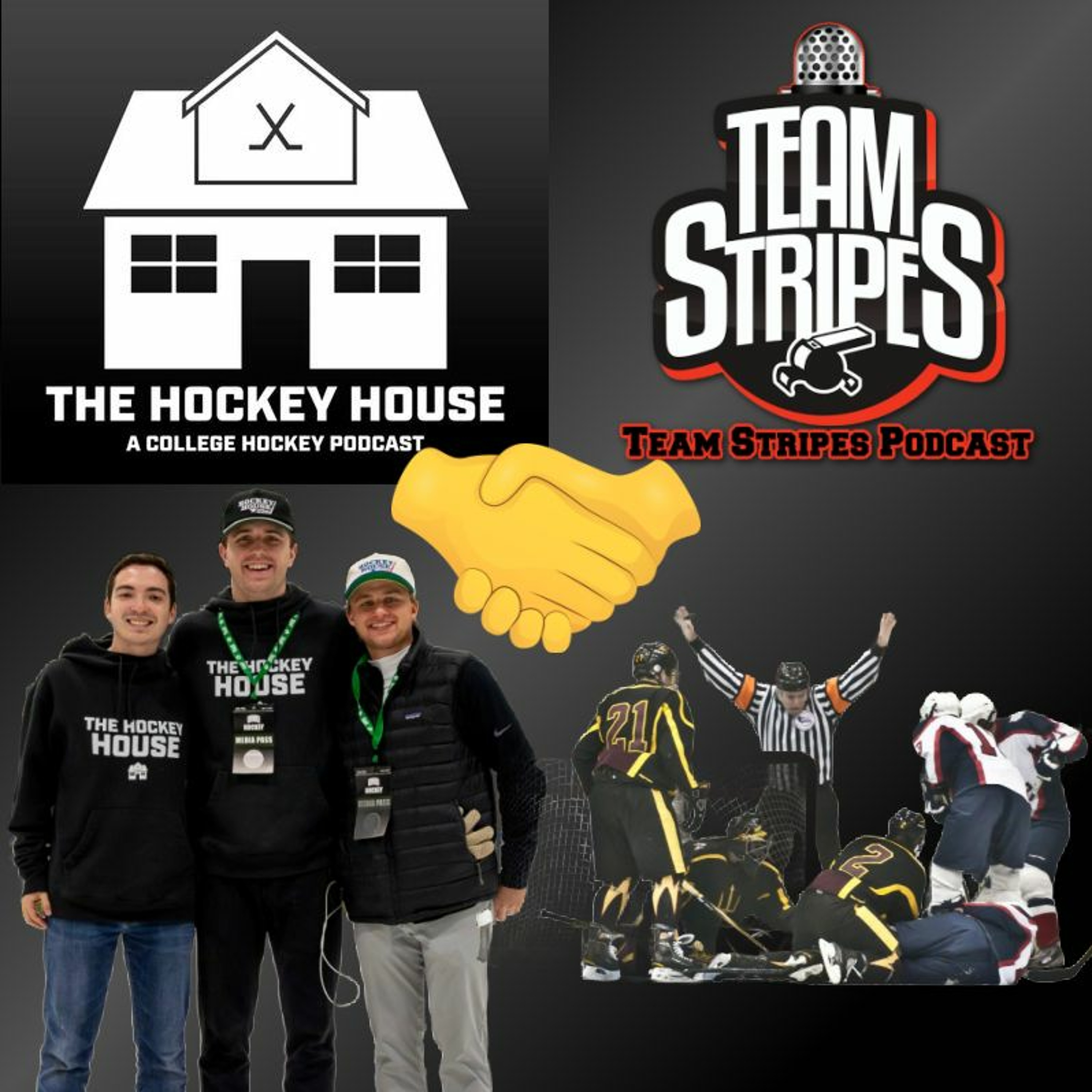 Team Stripes Season 4 Episode 5 The Hockey House episode artwork