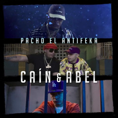 Cain Y Abel ❌Pacho El Antifeka ❌Les the producer 🏢Alqaedas inc