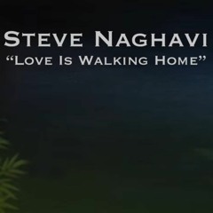 Steve Naghavi-Love Is Walking Home
