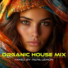 Organic House Chill Mix August 2023 | Tropical & Middle East Beats