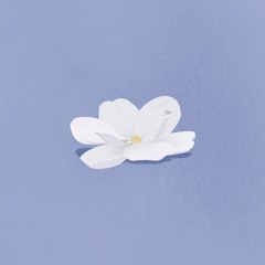 Magnolia (ft. Rodrigo Bucketbranch)