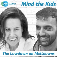 Mind the Kids - The Lowdown on Meltdowns