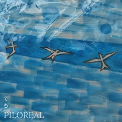 But でも - Piloreal ( 77:68 )