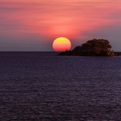 us (Recorded Live for AMS Events)